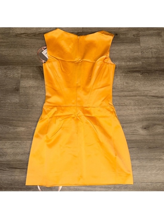 Firm PriceHouse of CB Enya apricot corset mini dress Firm PriceHouse of CB Enya apricot corset mini dress